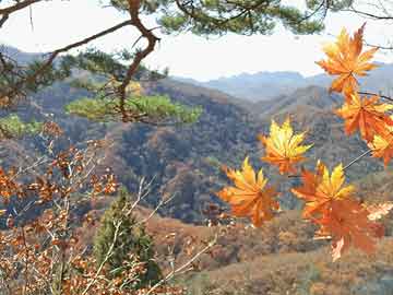 铝扣板吊顶尺寸（铝扣板吊顶尺寸选择）